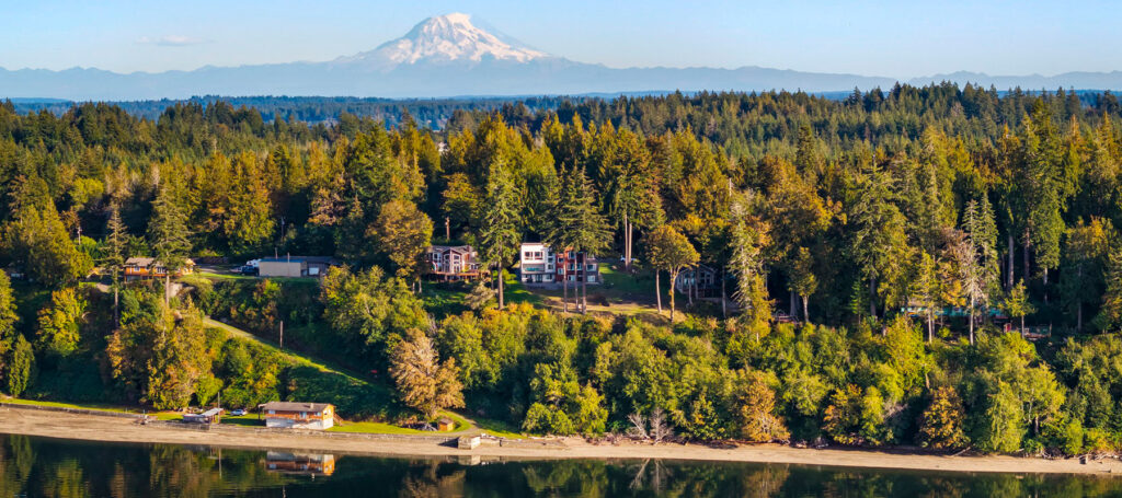 Scenic forest landscape with mountain and lake views.