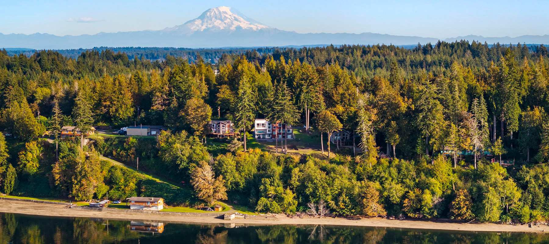 Scenic forest landscape with mountain and lake views.