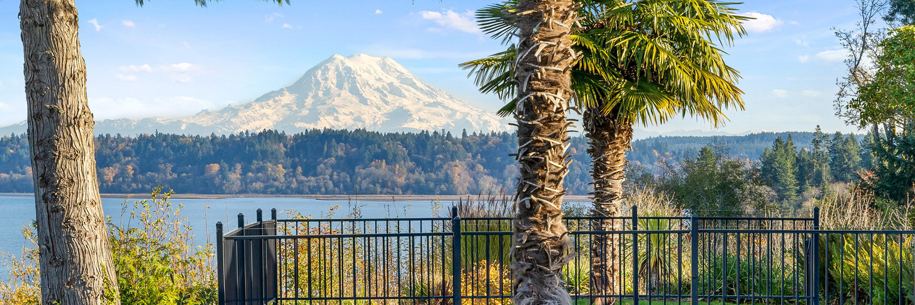 Mountain view with trees and Puget Sound background