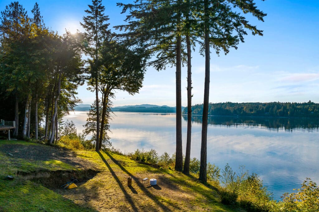 A serene lakeside scene with tall trees casting long shadows on grassy ground, calm water reflecting blue sky, and forested hills in the distance under bright sunlight—a peaceful view reminiscent of a Thurston County saltwater report.