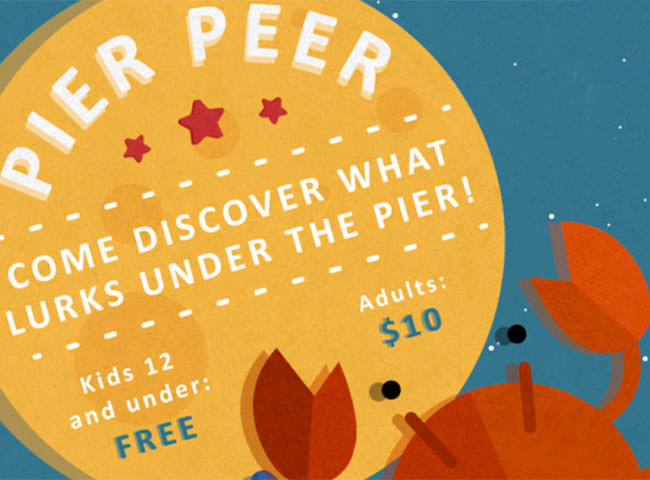 Pier Peer Program