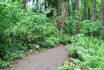 fav-watershed-park Watershed Park