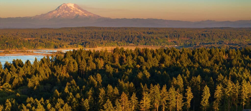 Mt Rainier view over forest at sunset