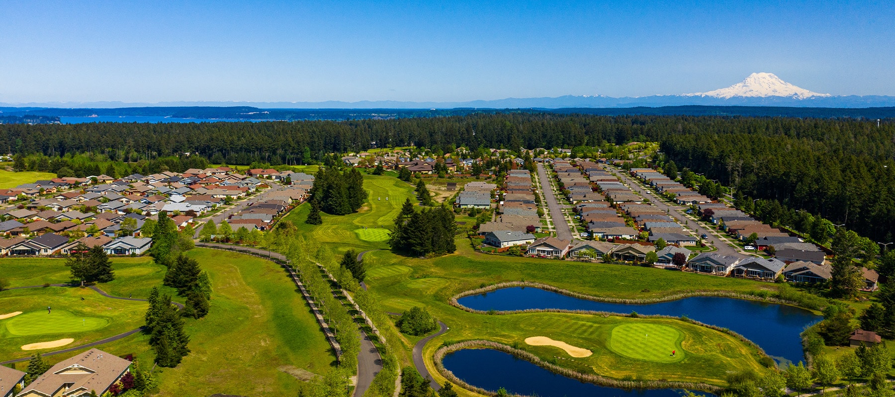 Aerial view of a suburban neighborhood featuring golf course homes in Thurston County, surrounded by green fairways and small ponds. In the background, a dense forest and a snow-capped mountain peak are visible under a clear blue sky.