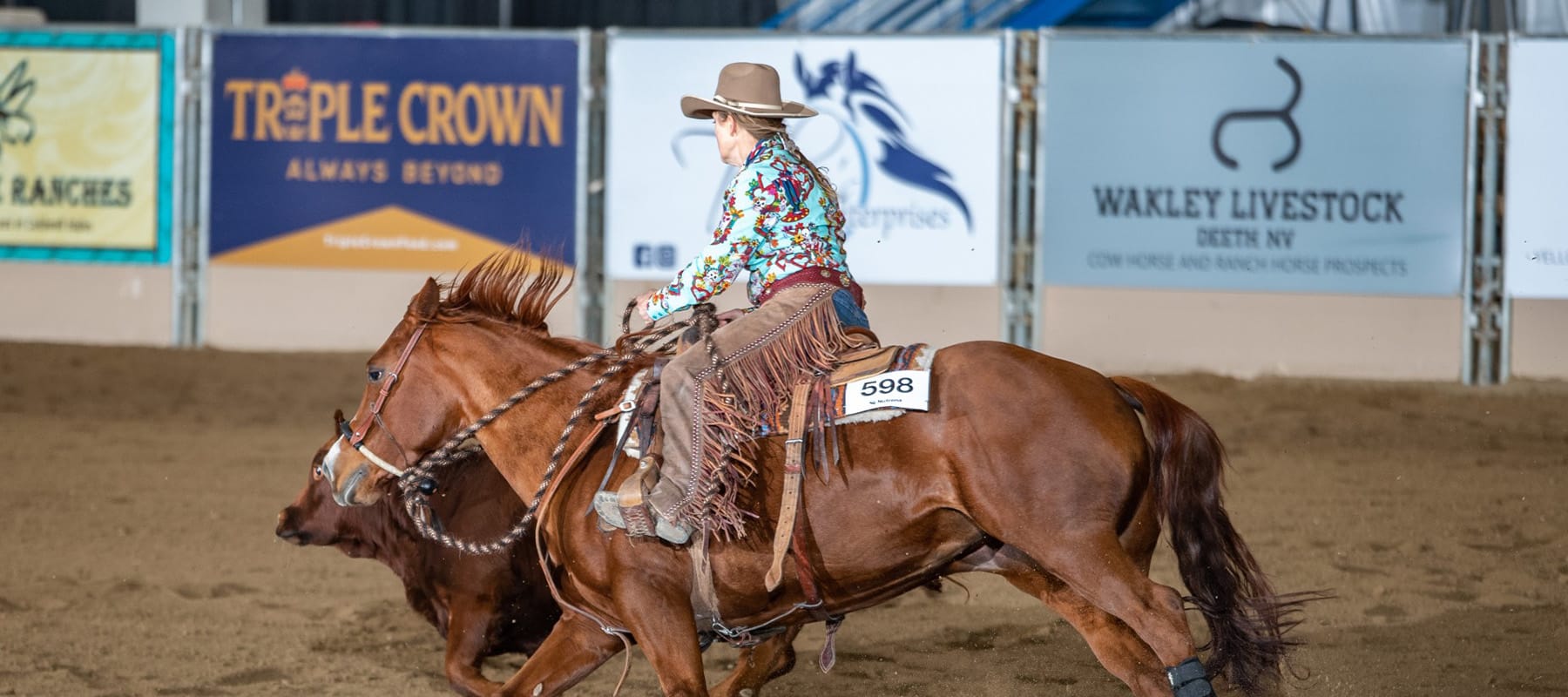 A rider in a colorful shirt and cowboy hat on horseback chases a cow in an indoor arena during a rodeo or livestock event—capturing the excitement found at horse properties near Thurston County and Olympia. Signs for Triple Crown and Wakley Livestock are visible.