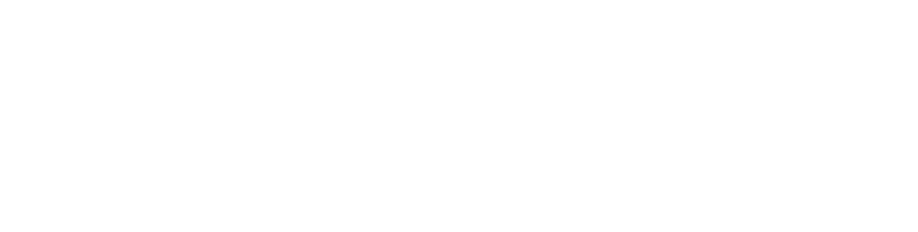 Virgi Adams Real Estate White Logo