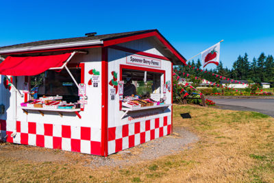 spooners-berry-farm Spooners Berry Farm in Lacey, Wa