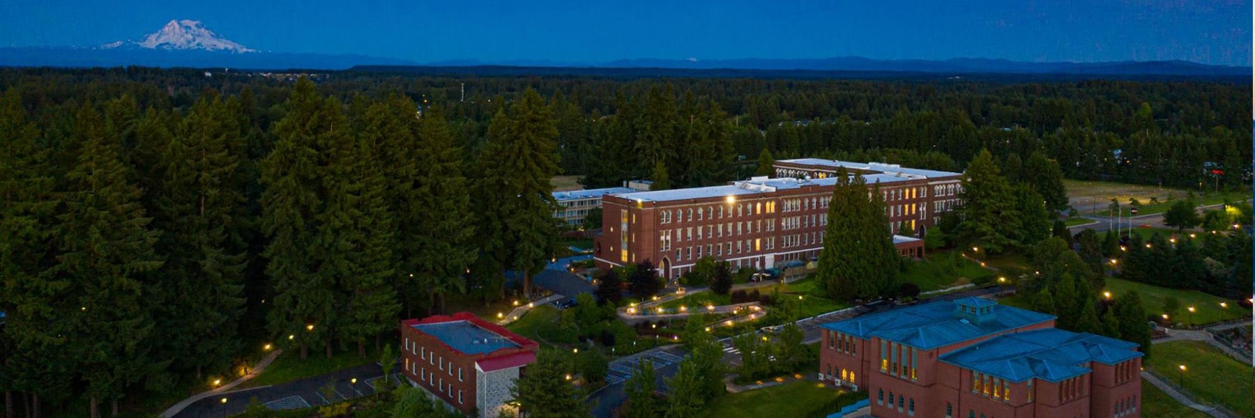 Campus buildings surrounded by forest at twilight.