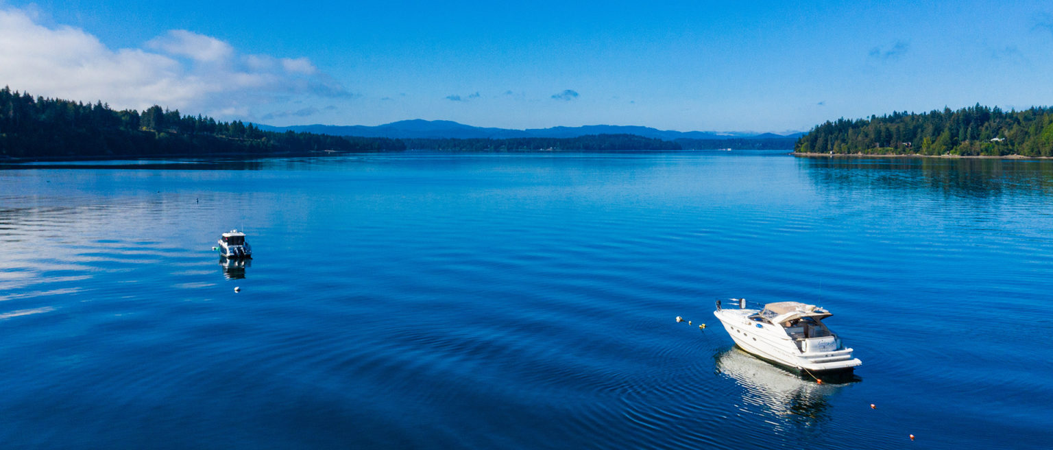 Virgil Adams Real Estate