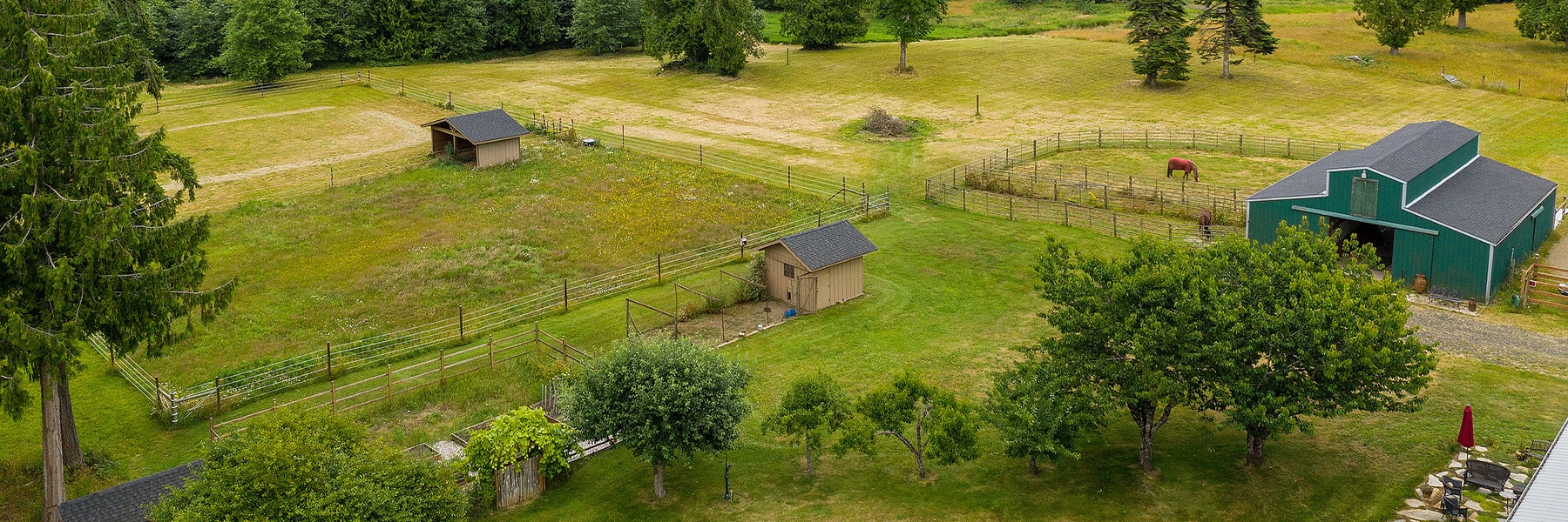 Aerial view of a rural property in Thurston County with fenced pastures, a green barn, a small horse, two sheds, and scattered trees on grassy land—ideal for those seeking horse properties near Olympia.
